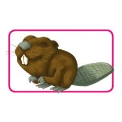 Concept Kids Animaux 7 Concept Kids Animaux -Série De Jeux Concept Kids2 1