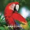 Life Of The Amazonia – Bundle 2 -Série De Jeux LotA01